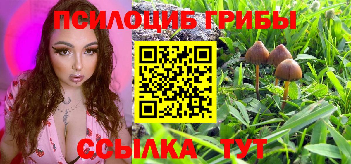 Псилоцибиновые грибы ЛСД Рубцовск