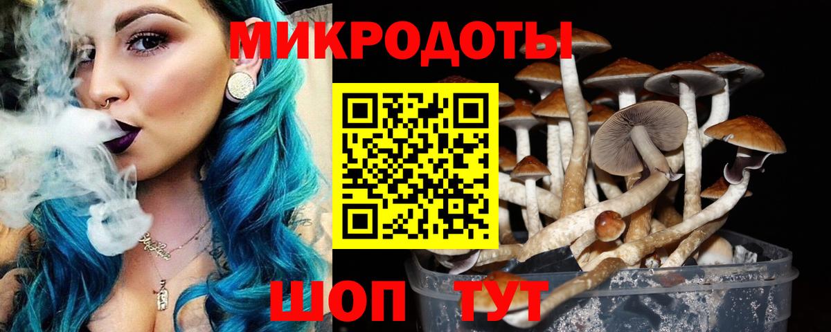 Псилоцибиновые грибы мицелий  Псилоцибиновые грибы Psilocybine cubensis  Вход с VPN  Рубцовск 